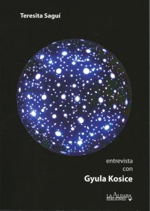 ENTREVISTA CON GYULA KOSICE