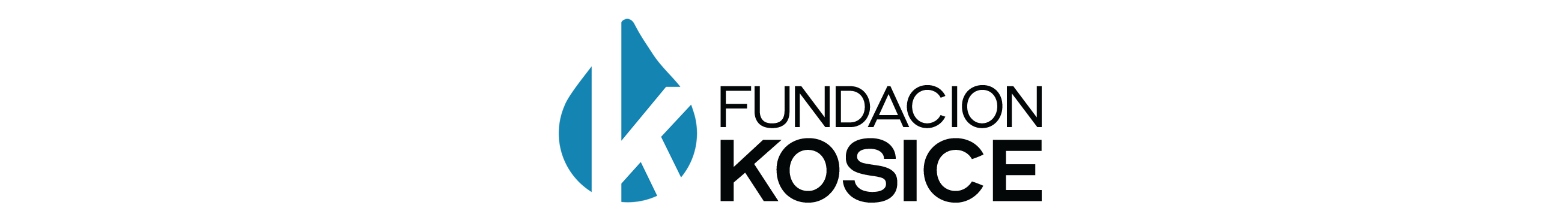 Museo Kosice