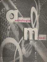 ANTOLOGÍA MADÍ GYULA KOSICE | ANTOLOGÍA MADÍ